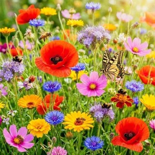 Jardin 48