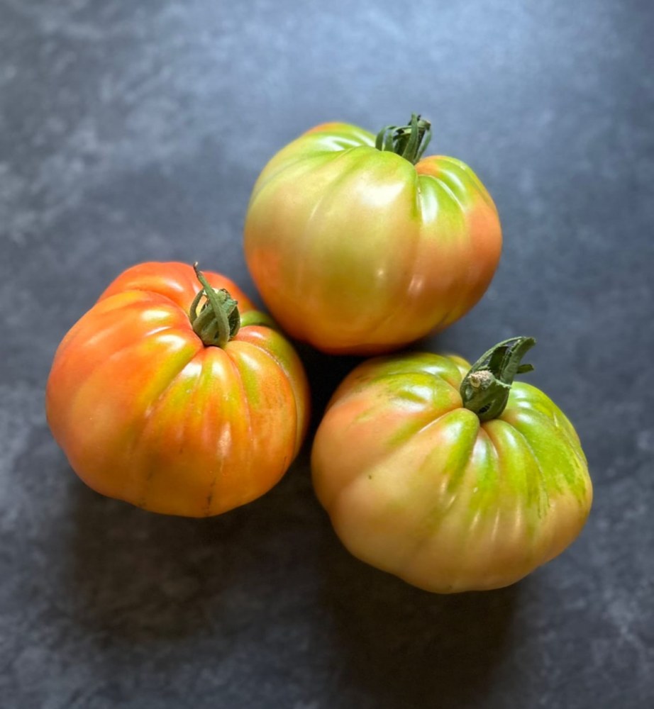 Tomate 4