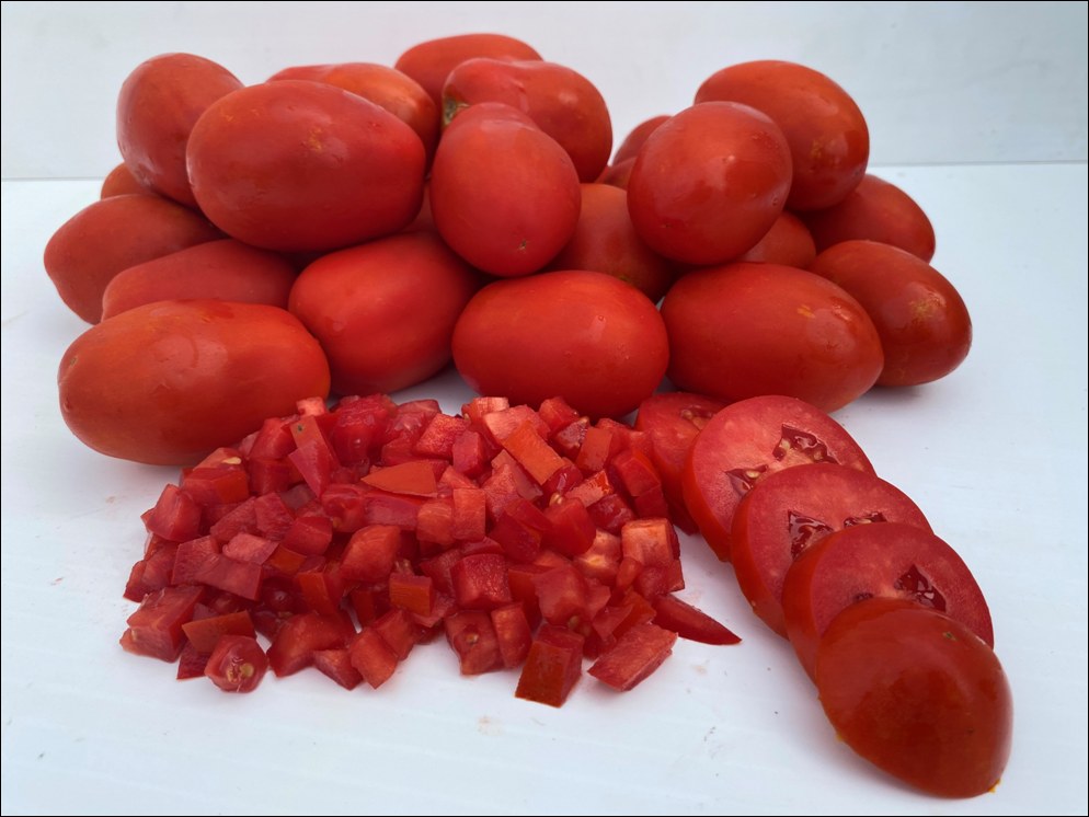 Tomate Industria 4